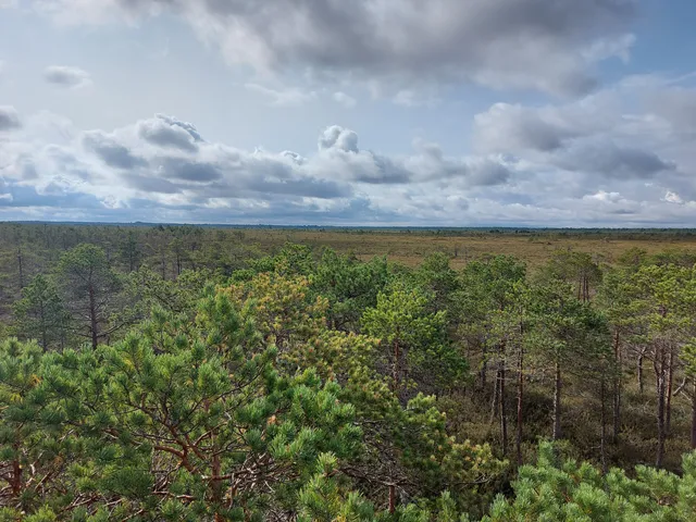 Puurijärvi-Isosuo National Park