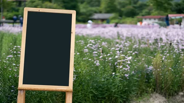 Sennen no Sono Lavender Field