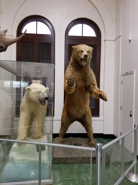 LSU Museum of Natural Science