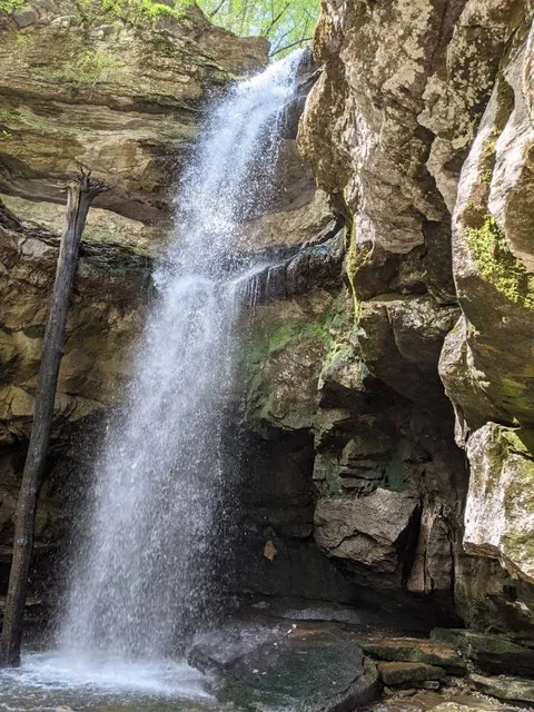 Lost Creek Trailhead - Scott's Gulf Wilderness State Park
