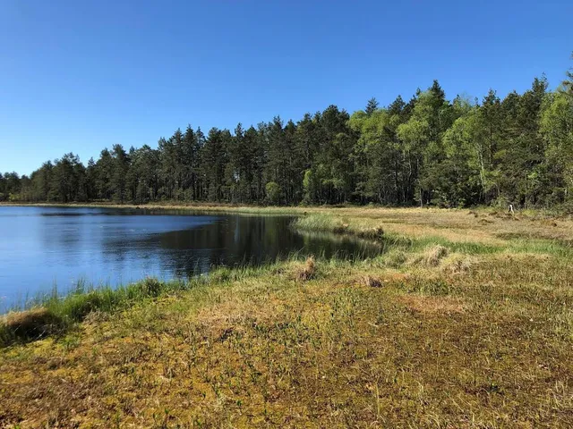 Siggeforasjön