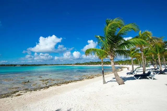 Dolphinaris Barceló