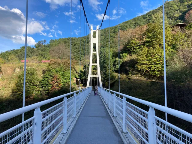 Ueno Sky Bridge