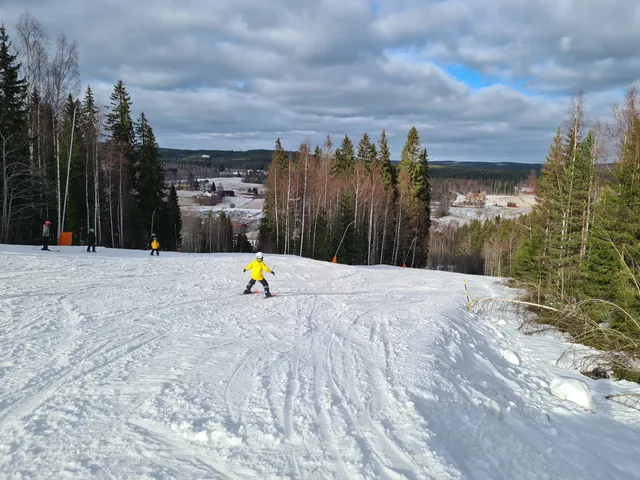 Kungsbergets naturreservat