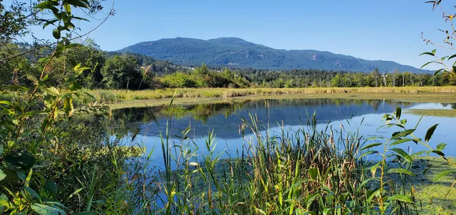 Buttertubs Marsh Park