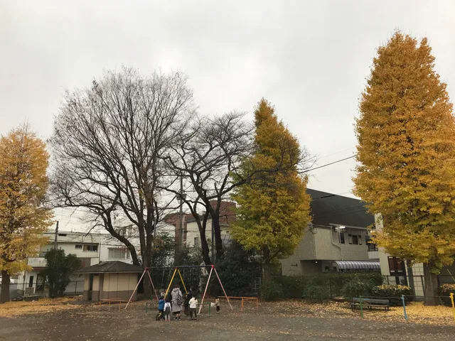 photo-1
