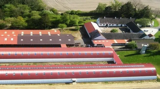 Bornholm Technical Collection