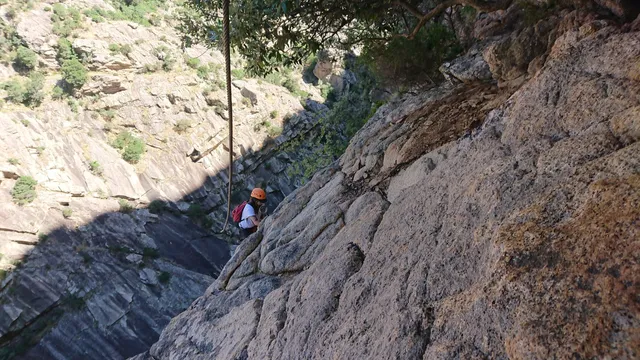 Peaks of Dreams | Canyoning - Via Ferrata - Tree