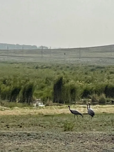 place image