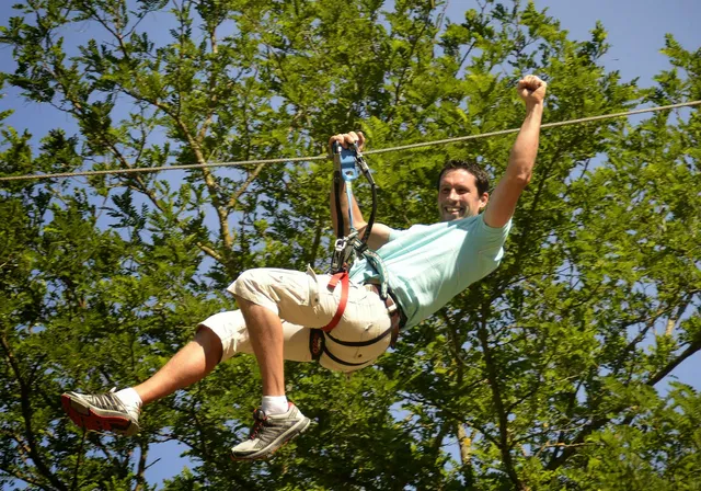 Hold on to the branches