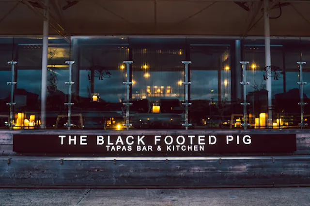 The Black Footed Pig