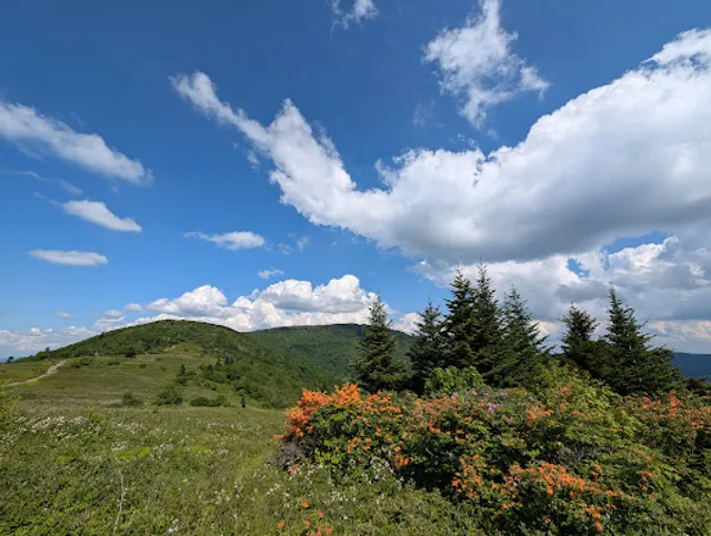 Appalachian National Scenic Trail