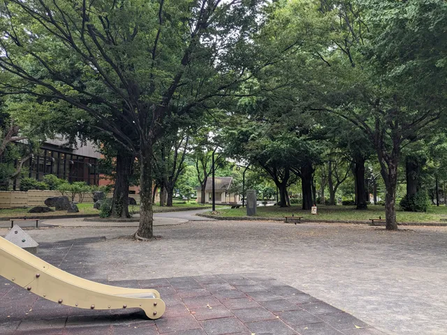 Children's Amusement Park