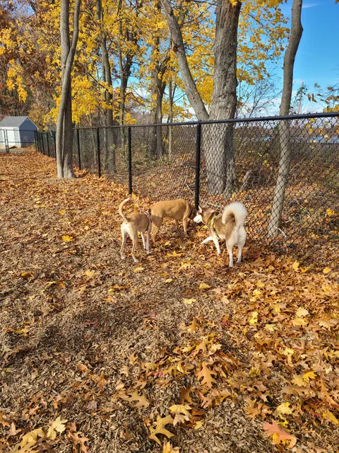 FIDO Dog Park