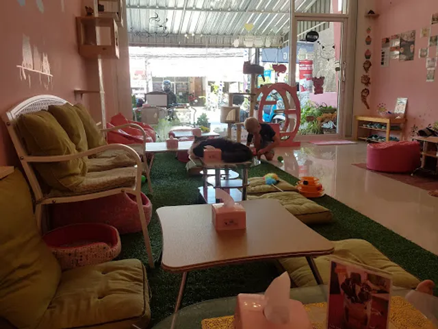 Neko Cat Cafe