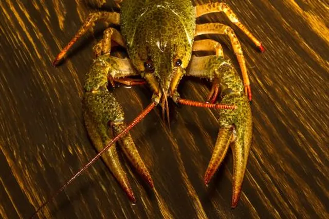 Kabwata Cultural Village