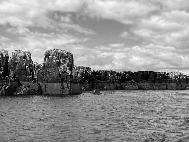 Serenity Farne Island Boat Tours