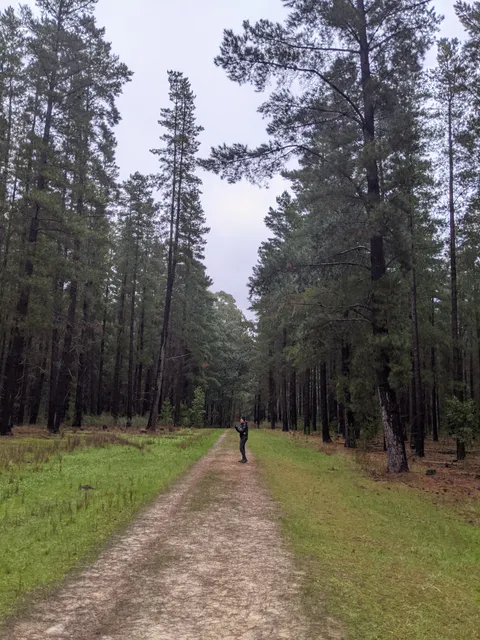 Kuitpo Forest Reserve