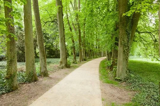 Arboretum w Kórniku