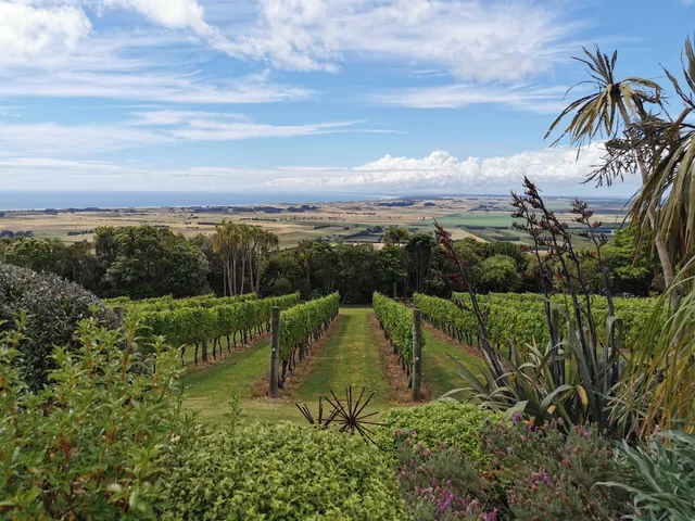 Waitapu Estate Vineyard