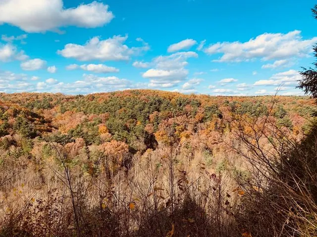 Mohican-Memorial State Forest