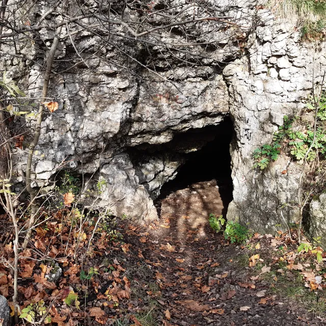 Jaskinia Twardowskiego