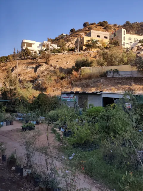 استراحه النهر الصافي