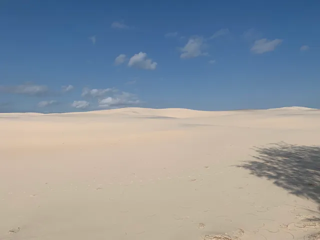 photo-3