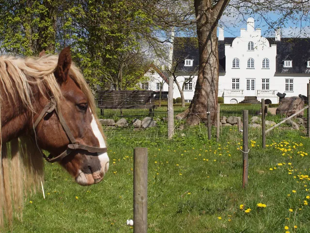 Flynderupgårdmuseet