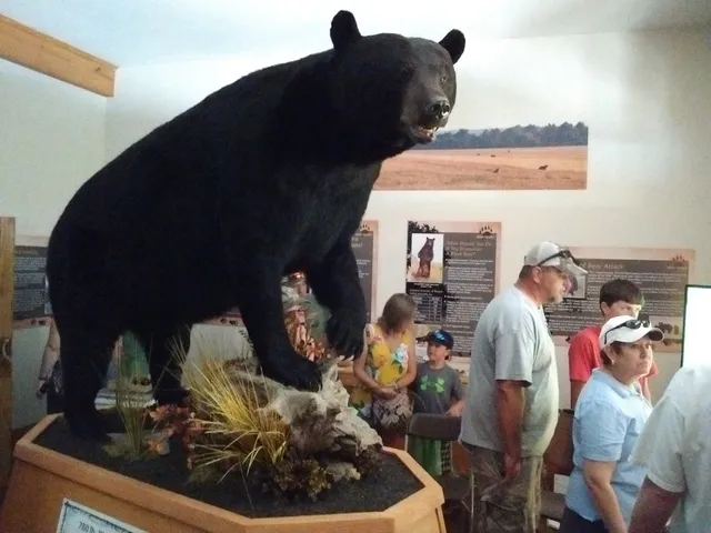 God's Creation Wildlife Museum