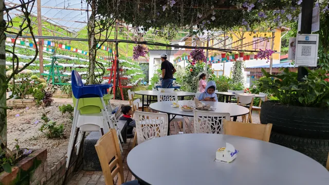 AyahMan Strawberi Cameron Highlands