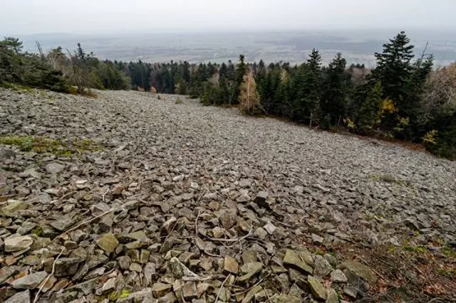 photo-1