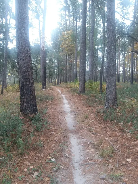 Marrington Plantation Trailhead