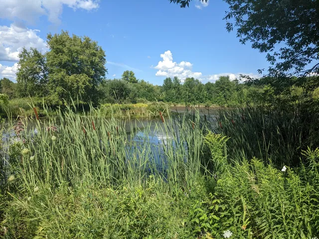 Red Barn Wetland Preserve