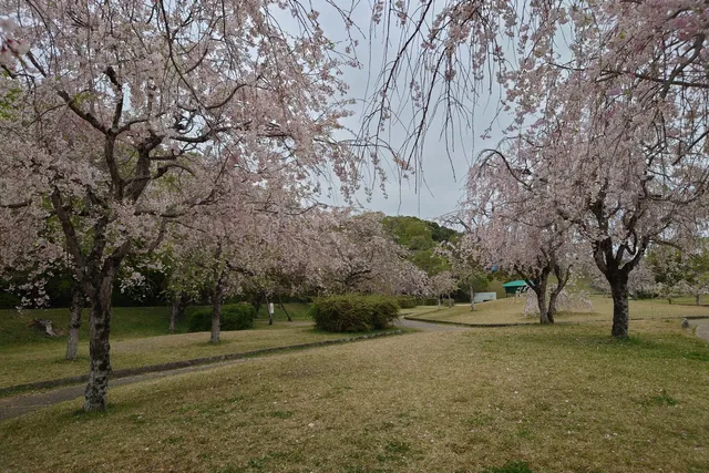 Suigen Park