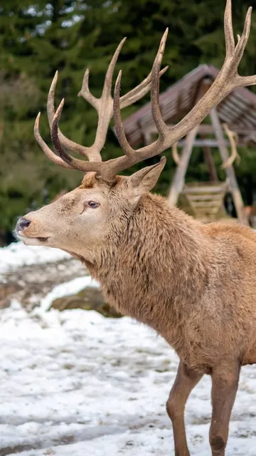 Lakewood Forest Preserve