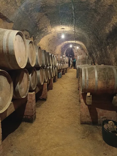 Remigio Bodega Salas Jalon