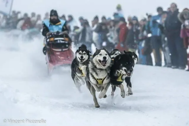 L' Ame Nordique Aventures