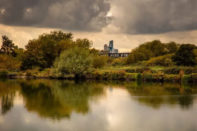 Walthamstow Wetlands, London Wildlife Trust