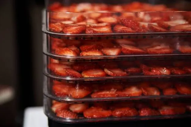 Theatre Dame de Coeur