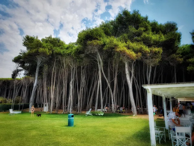 Bau Bau Beach Village