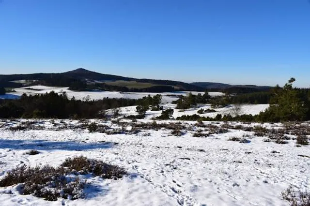 Traumpfad Bergheidenweg