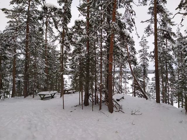 Punkaharju Arboretum