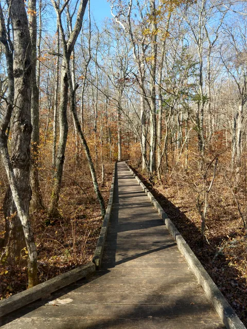 Whitehead Preserve at Dundery Brook