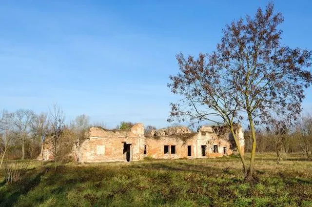 photo-1