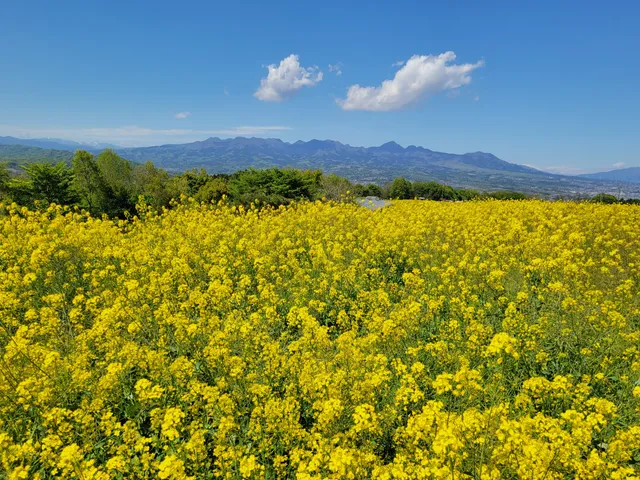 Hanadaka Observation Flower Hill