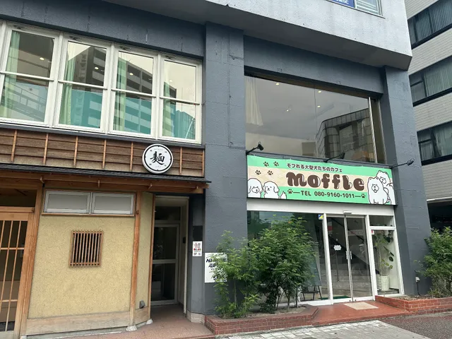 《もっふる》モフれる大型犬たちのカフェ/ドッグカフェ(福岡天神店)