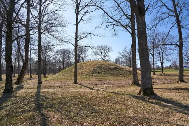 The Borre Mounds