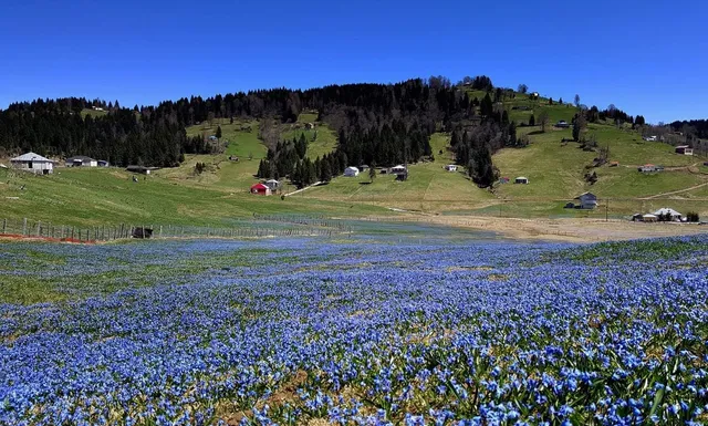 Kadıralak Tabiat Parkı