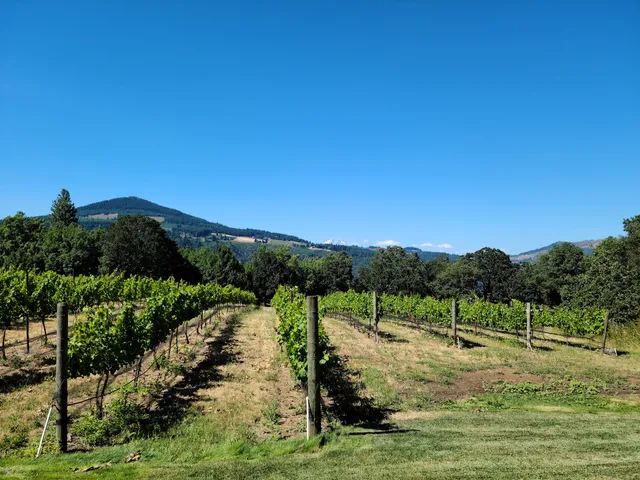 Cathedral Ridge Winery